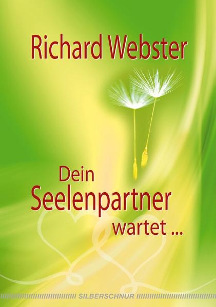 Dein Seelenpartner wartet… - Richard Webster