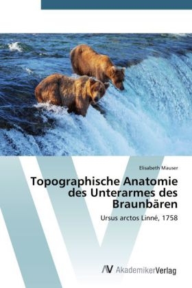 Topographische Anatomie des Unterarmes des Braunbären - Elisabeth Mauser