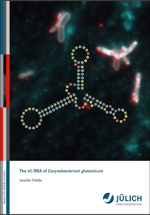 The 6C RNA of Corynebacterium glutamicum - Jennifer Pahlke