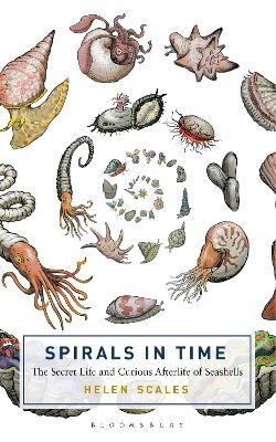 Spirals in Time - Helen Scales