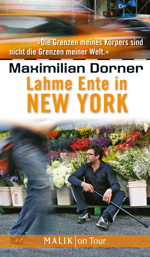 Lahme Ente in New York - Maximilian Dorner