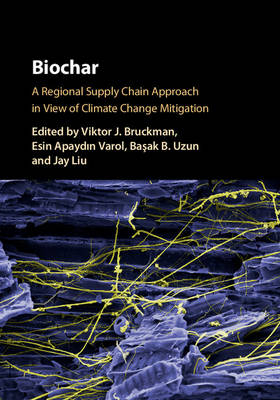 Biochar - 