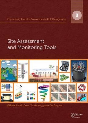 Engineering Tools for Environmental Risk Management - 