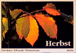 Herbst