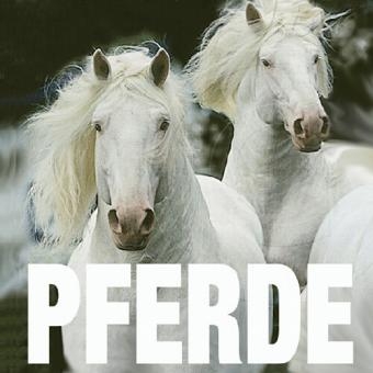 Pferde