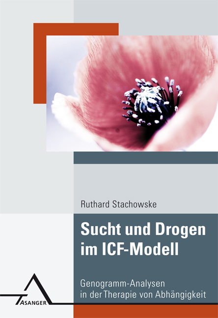 Sucht und Drogen im ICF-Modell - Ruthard Stachowske