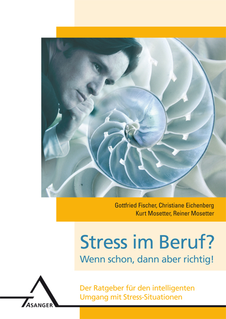 Stress im Beruf? Wenn schon, dann aber richtig! - Gottfried Fischer, Christiane Eichenberg, Kurt Mosetter, Reiner Mosetter