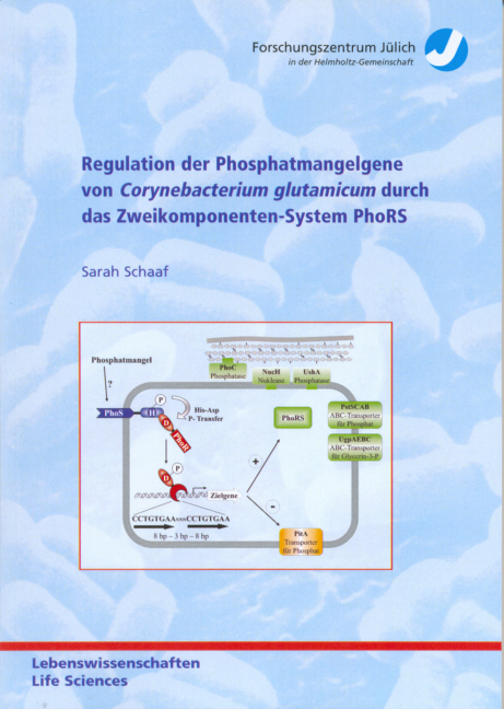 Regulation der Phosphatmangelgene von Corynebacterium glutamicum durch das Zweikomponenten-System PhoRS - Sarah Schaaf