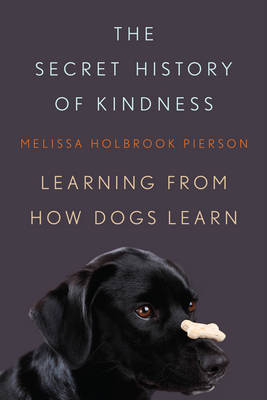 The Secret History of Kindness - Melissa Holbrook Pierson