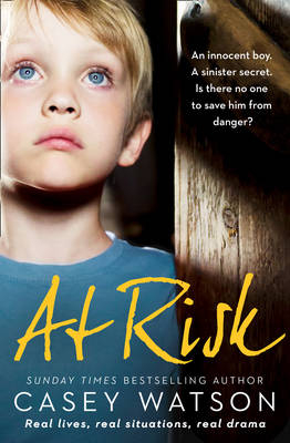 At Risk -  Casey Watson