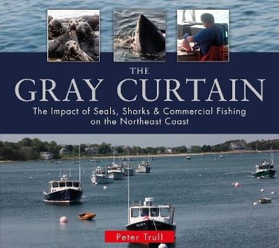 The Gray Curtain - Peter Trull