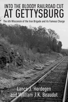 In the Bloody Railroad Cut at Gettysburg -  Herdegen Lance J. Herdegen,  Beaudot William J.K. Beaudot