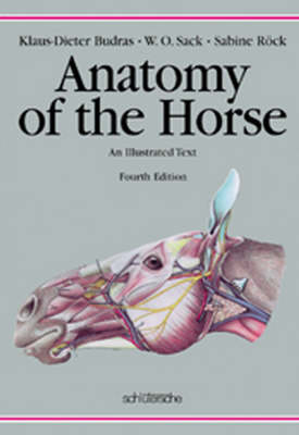 Anatomy of the Horse - Klaus D Budras, W O Sack, Sabine Röck