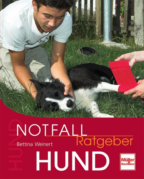 Notfallratgeber Hund - Bettina Weinert