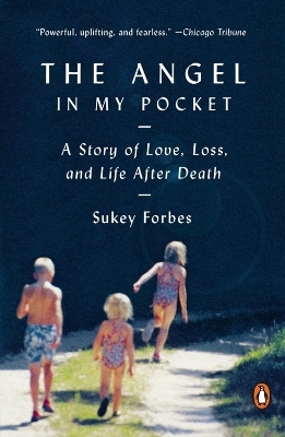 The Angel In My Pocket - Sukey Forbes