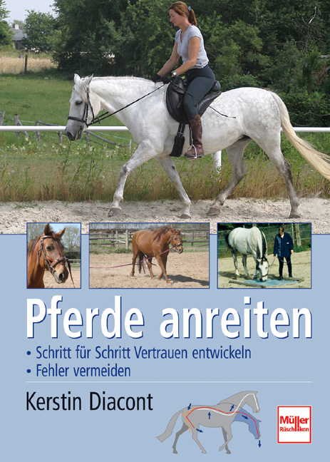 Pferde anreiten - Kerstin Diacont