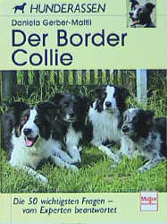 Der Border Collie - Daniela Gerber-Mattli