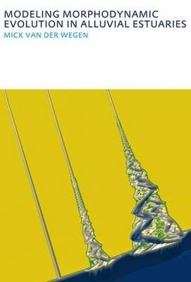 Modeling morphodynamic evolution in alluvial estuaries -  Mick van der Wegen