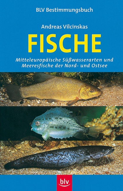 Fische - Andreas Vilcinskas