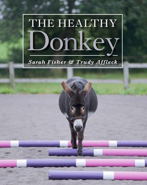 Healthy Donkey - Sarah Fisher, Trudy Affleck  Trudy Affleck