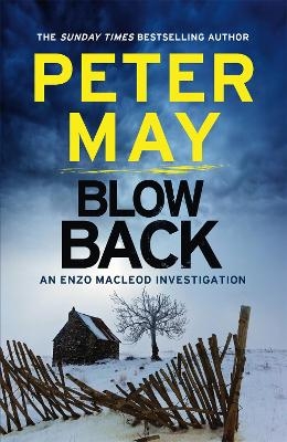 Blowback - Peter May