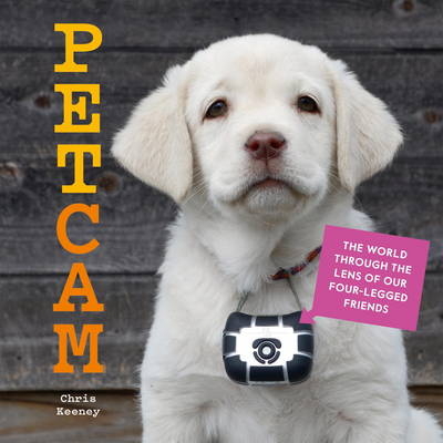 Petcam - Chris Keeney