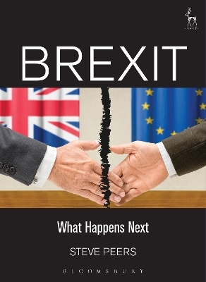 Brexit - Steve Peers