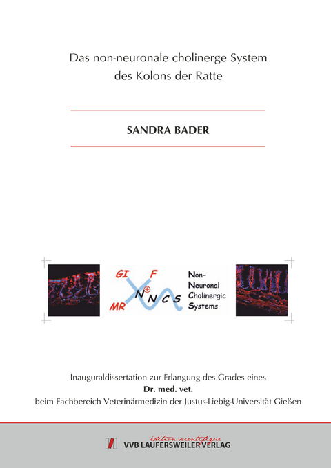 Das non-neuronale cholinerge System des Kolons der Ratte - Sandra Bader