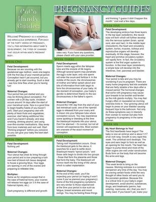 Pregnancy Guides - Jyoti Baluran