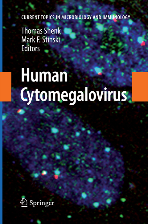 Human Cytomegalovirus - 