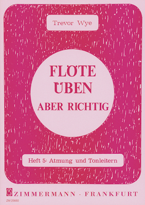 Flöte üben - aber richtig. H.5 - Trevor Wye