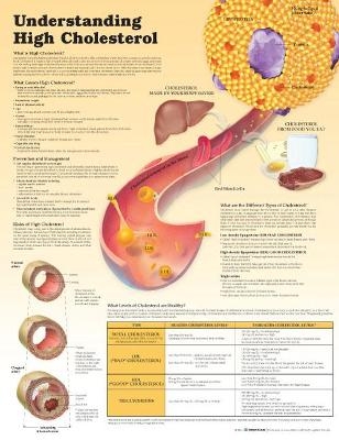 Understanding High Cholesterol Paper - 