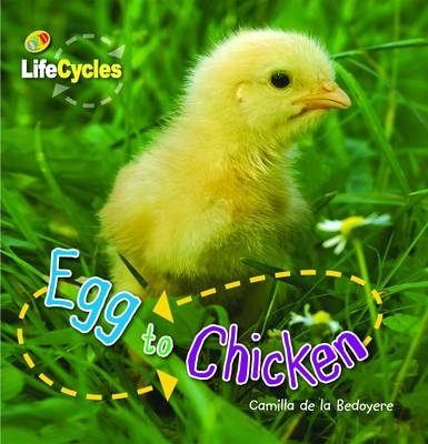 Life Cycles - Egg to Chicken - Camilla de la Bedoyere