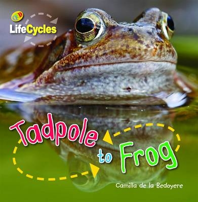 Tadpole to Frog - Camilla de la Bedoyere