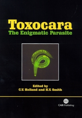 Toxocara - 