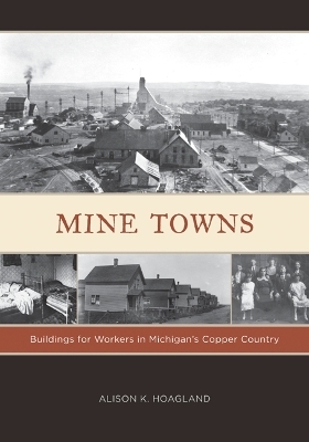 Mine Towns - Alison K. Hoagland