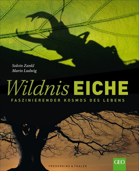 Wildnis Eiche - Solvin Zankl, Mario Ludwig