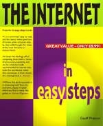 The Internet in Easy Steps - Geoff Preston