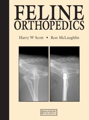 Feline Orthopedics - Harry Scott, Ronald McLaughlin