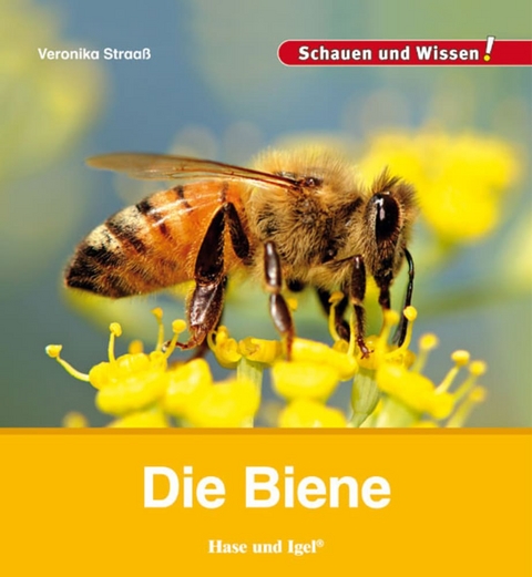 Die Biene - Veronika Straaß