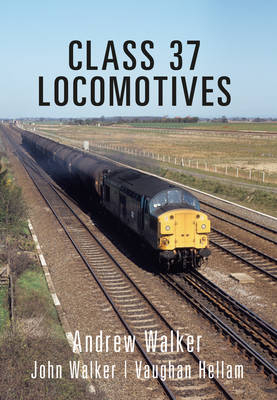 Class 37 Locomotives -  Andrew Walker