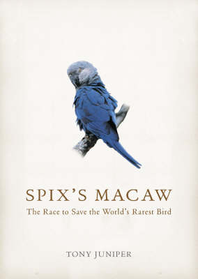 Spix's Macaw - Tony Juniper