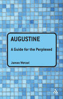 Augustine: A Guide for the Perplexed - Professor James Wetzel