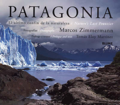 Patagonia - Tomas Eloy Martinez