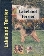 Lakeland Terrier - Patricia Peters