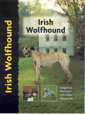 Pet Love Irish Wolfhound - a Kane