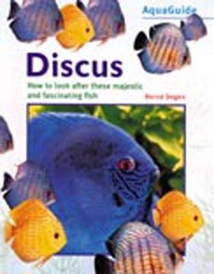 Aquaguide Discus - Bernd Degen