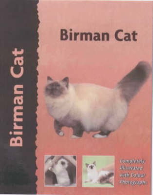 Birman Cat - Dennis Kelsey-Wood