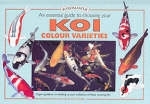 Koi Colour Varieties - Nick Fletcher