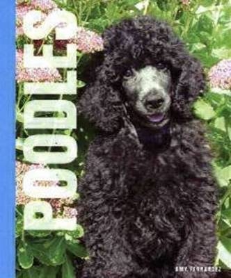 Poodles - Amy Fernandez